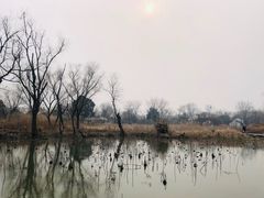 -西溪国家湿地公园