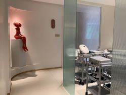 点击看大图 -WENDY·温迪皮肤管理