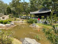 -深圳仙湖植物园