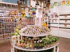 -KKV(深圳kk one 店)