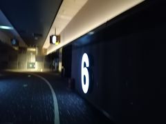 -万达影城(江桥万达广场IMAX店)