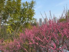 -重庆彩云湖湿地公园