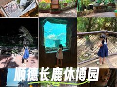 -长鹿旅游休博园