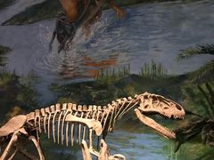 -自贡恐龙博物馆