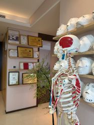 -颜和骨正&明星徒手小颜整骨