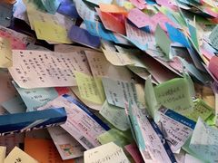 -古树酸奶(八廓南街店)