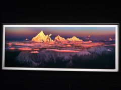 -罗红摄影艺术馆