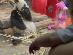 -海南热带野生动植物园