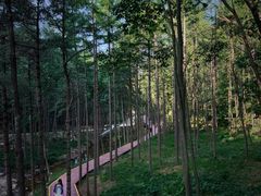 -洛阳白云山景区