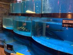-八闽饭店闽南小镇(铁西店)