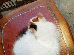-龙达温泉生态城