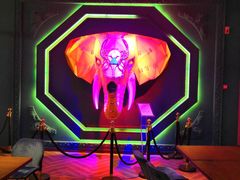 -疯克大象美式烤肉餐厅