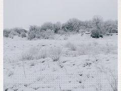 -太子岭滑雪场