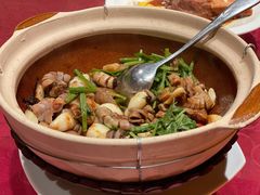 沙窝老广啫肥肠-金鼎轩(亚运村店)