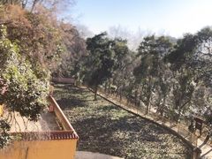 -宝通禅寺