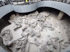 -自贡恐龙博物馆