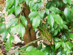 -宁波五龙潭景区