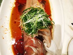 -大东海海鲜酒楼(渔人码头总店)