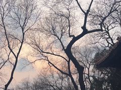 -北京国子监胡同