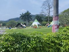 -东南花都花博园