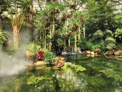 -昆明植物园