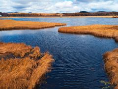 -塞罕坝国家级自然保护区