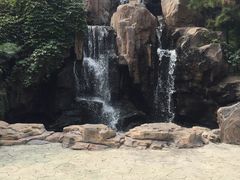 -燕塞湖鸟语林景区