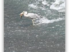 -九眼桥码头旧址