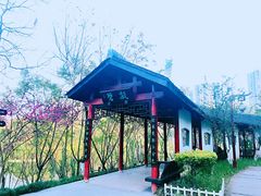 -重庆彩云湖湿地公园