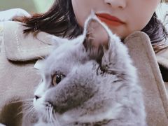 -猫亿天猫咖