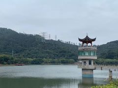 -水濂山森林公园