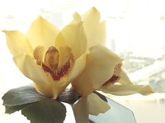 -广州四季酒店·佰鲜汇·现代法餐