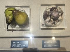 -青藏高原自然博物馆