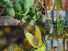 -国家植物园南园