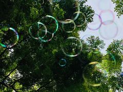 -吴淞炮台湾湿地森林公园烧烤区