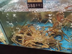 -蟹之国·精品蟹料理(极地店)