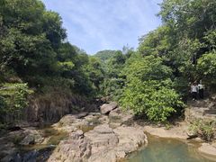 -广州白江湖森林公园