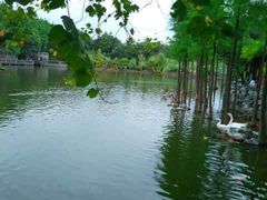 -东莞市可园博物馆