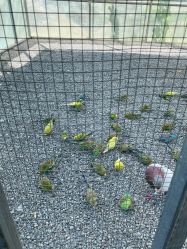 -萌宠亲子动物乐园(槐房万达店)