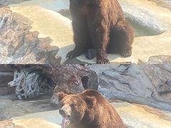 -珠海长隆海洋王国