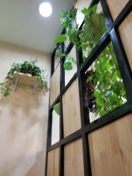 -showcase·形象沙龙