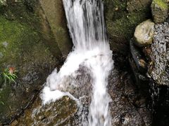 -祁门牯牛降观音堂风景区