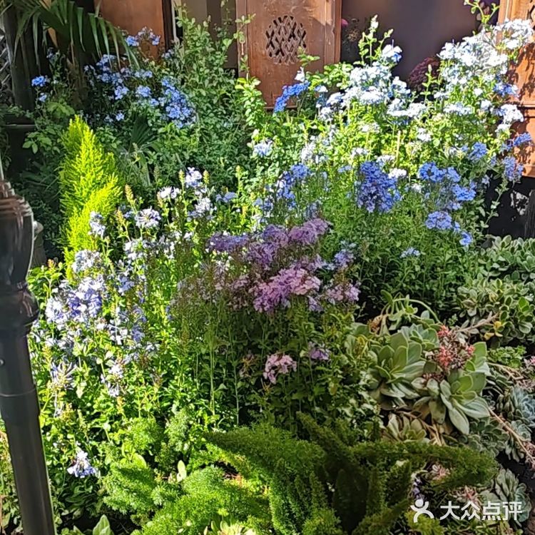 丽江古城屋顶咖啡