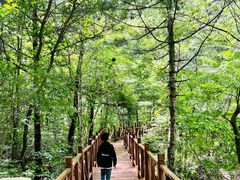 -青峰峡国家森林公园