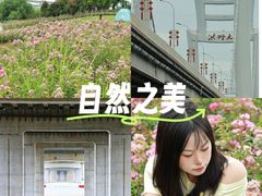 -九龙湖公园