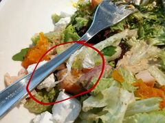 -ZEMOCAFE·FUSION FOOD(西交利物浦店)