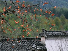 -塔川景区