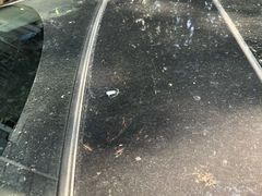 -长安马自达(上海交运起荣店)