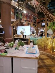 -卡通尼·Safari非洲探索乐园·生日会(金桥国际商业广场店)