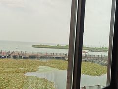 -新木器时代餐厅(太湖新天地店)